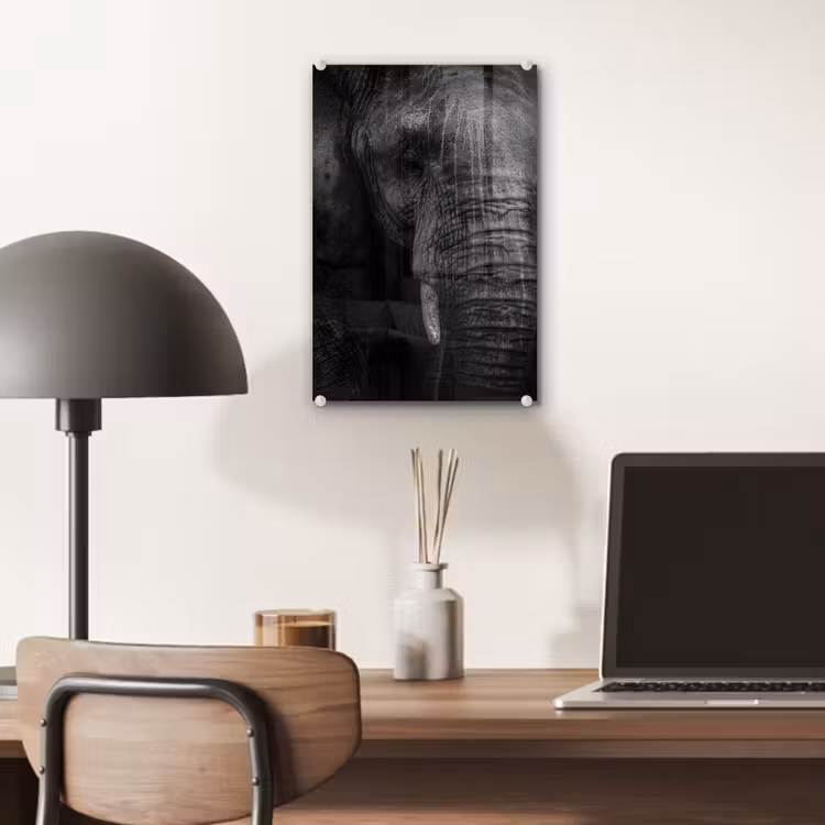 Glas schilderij - Olifant - Dier - Portret — 6