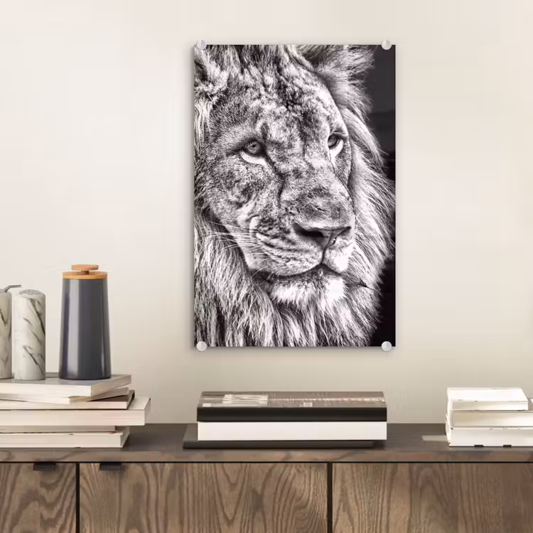 Glas schilderij - Portret - Leeuw - Zwart wit — 1