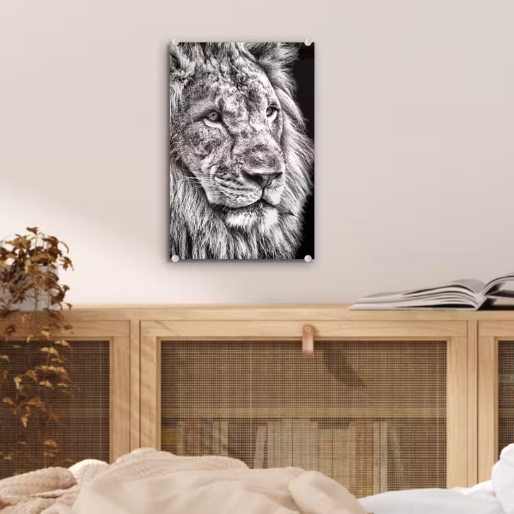 Glas schilderij - Portret - Leeuw - Zwart wit — 4
