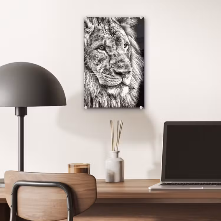 Glas schilderij - Portret - Leeuw - Zwart wit — 6
