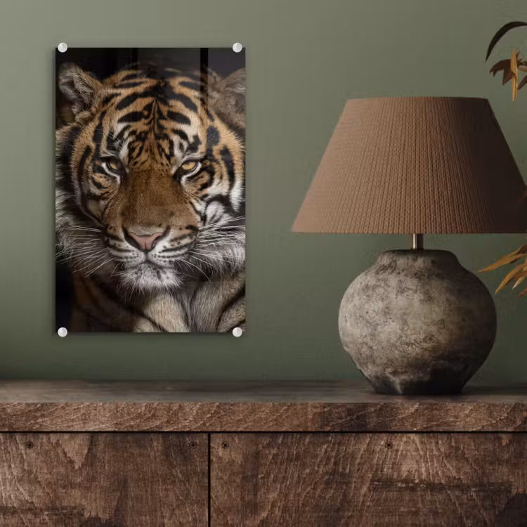 Glas schilderij - Tijger - Wilde dieren - Portret — 3