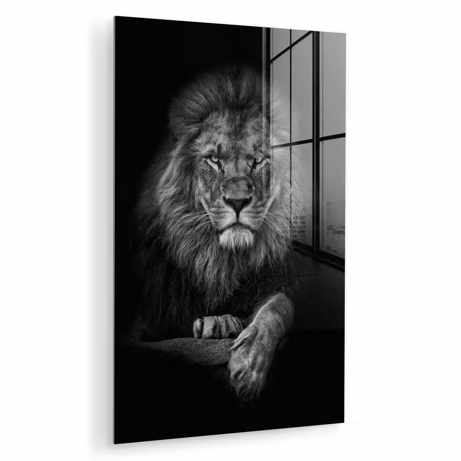Glas schilderij - Leeuw - Dieren - Zwart - Wit — 1