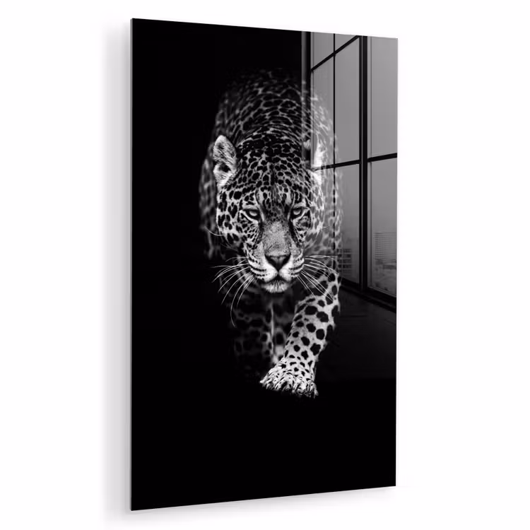 Glas schilderij - Dieren - Zwart - Luipaard - Wit - Wild — 1