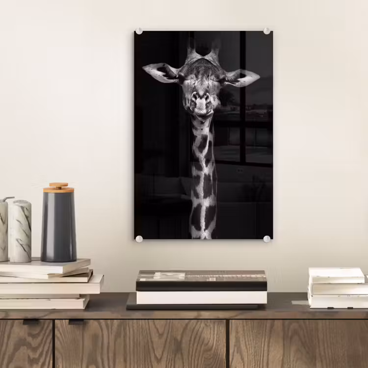 Glas schilderij - Giraffe - Portret - Dieren - Zwart - Wit — 2