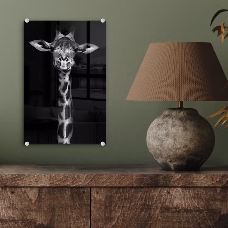 Glas schilderij - Giraffe - Portret - Dieren - Zwart - Wit — 4