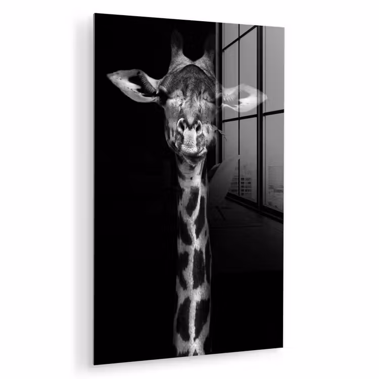 Glas schilderij - Giraffe - Portret - Dieren - Zwart - Wit — 1