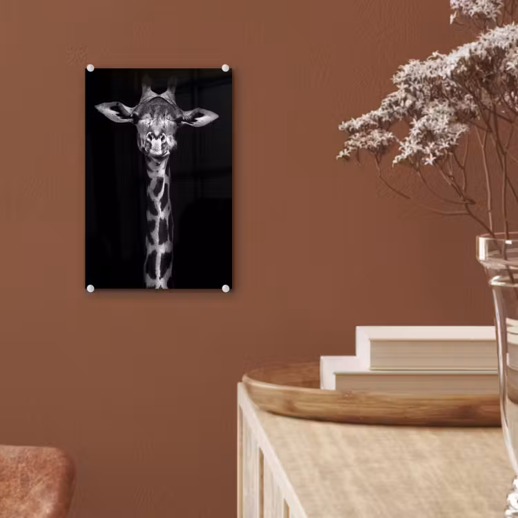 Glas schilderij - Giraffe - Portret - Dieren - Zwart - Wit — 6