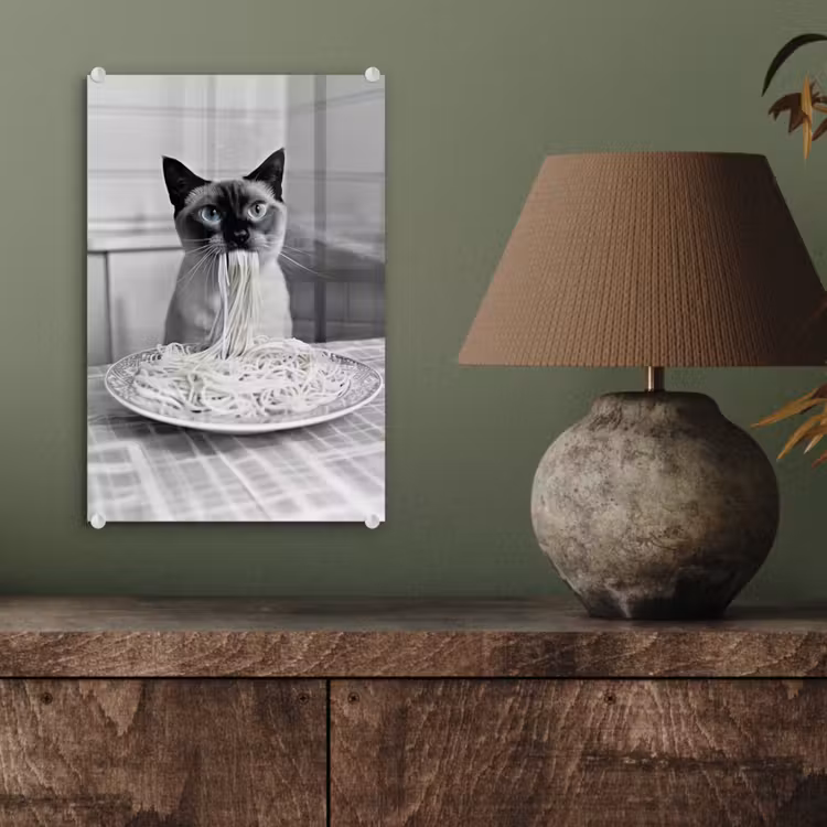 Glas schilderij - Kat - Siamees - Zwart Wit - Schattig - Dieren — 4