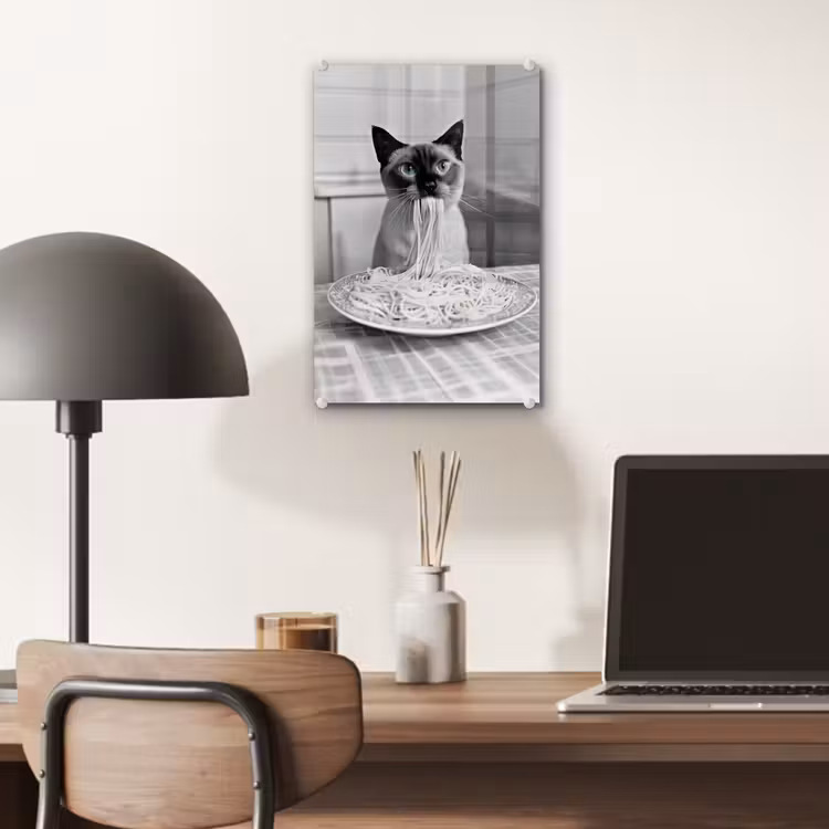 Glas schilderij - Kat - Siamees - Zwart Wit - Schattig - Dieren — 7