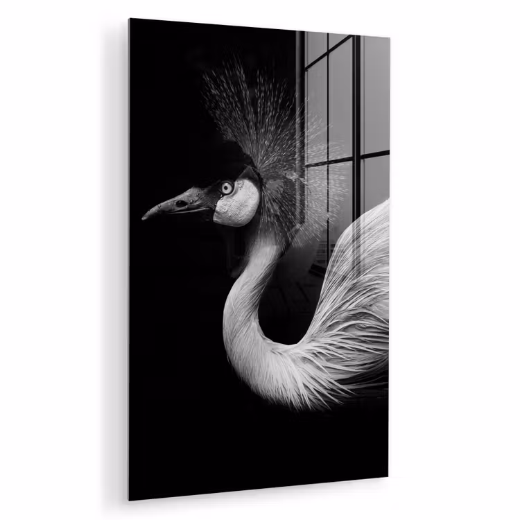 Glas schilderij - Kraanvogel - Zwart - Wit - Vogel - Dieren — 1