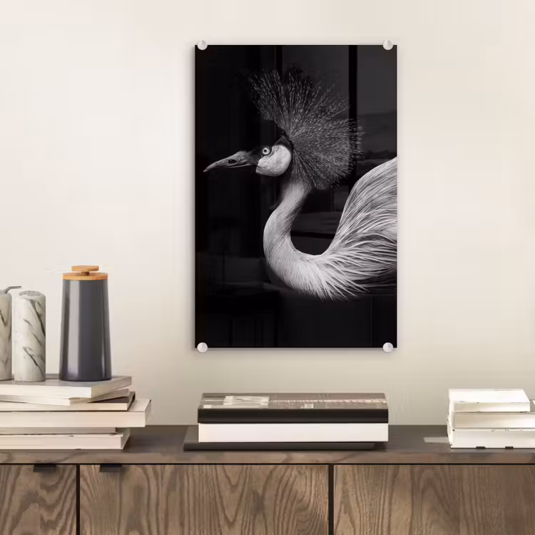 Glas schilderij - Kraanvogel - Zwart - Wit - Vogel - Dieren — 2