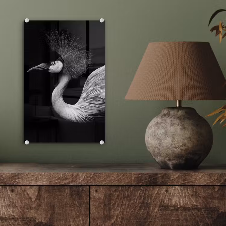 Glas schilderij - Kraanvogel - Zwart - Wit - Vogel - Dieren — 4