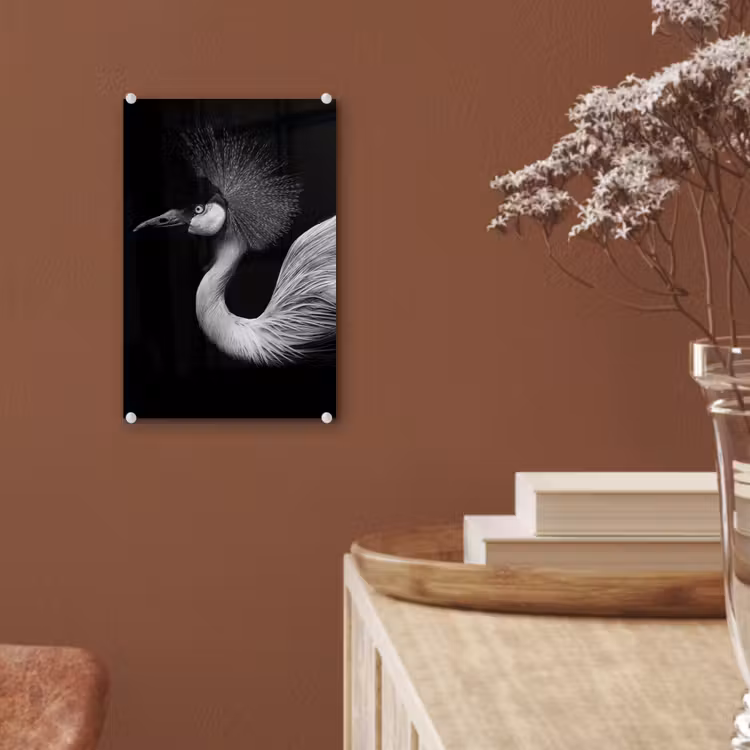 Glas schilderij - Kraanvogel - Zwart - Wit - Vogel - Dieren — 6