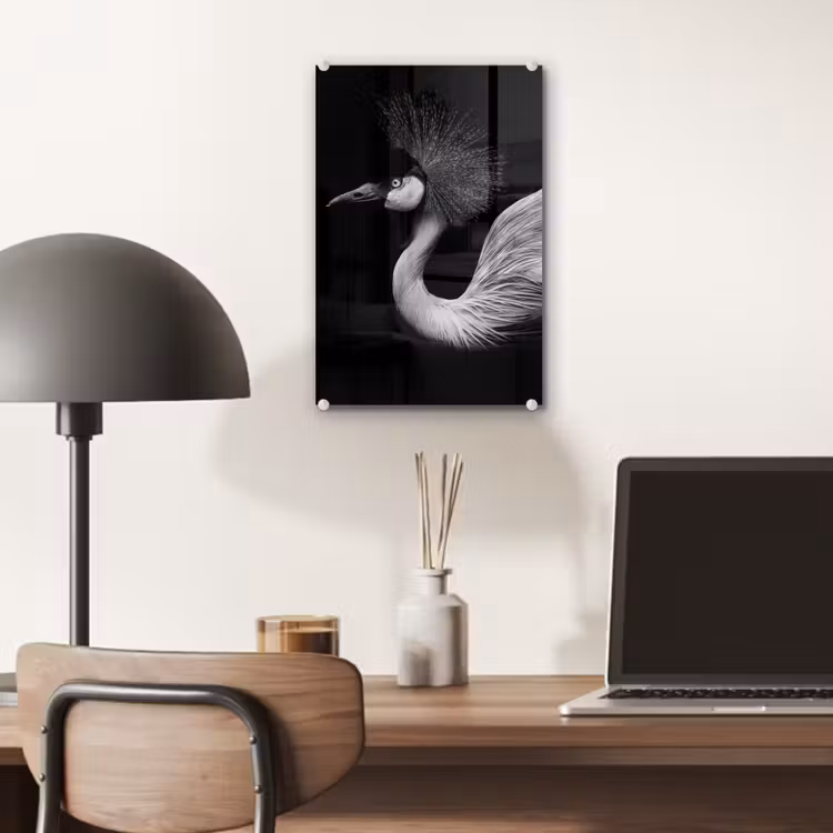 Glas schilderij - Kraanvogel - Zwart - Wit - Vogel - Dieren — 7