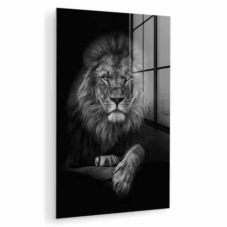 Glas schilderij - Leeuw - Dieren - Zwart - Wit — 1