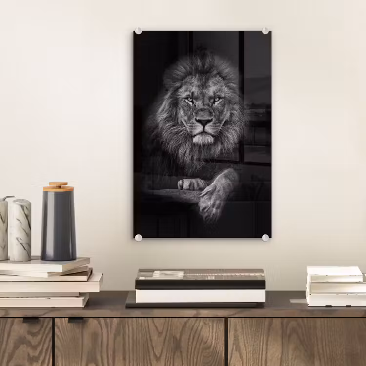 Glas schilderij - Leeuw - Dieren - Zwart - Wit — 2