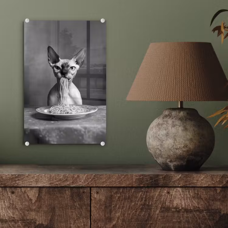 Glas schilderij - Sphynx - Kat - Dieren - Humor - Spaghetti - Zwart Wit — 4