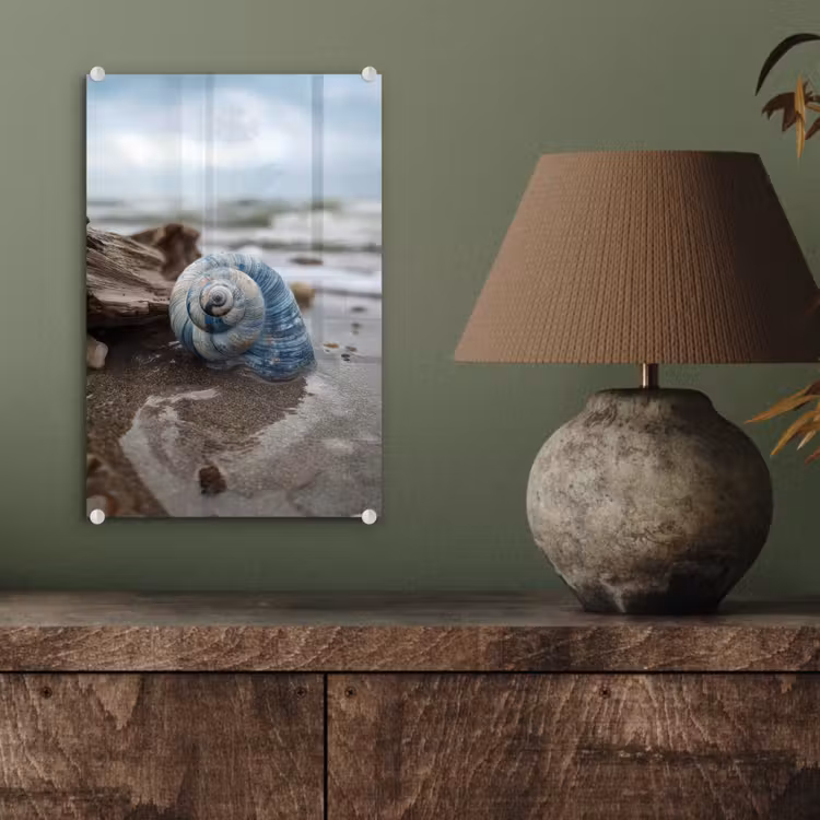 Glas schilderij - Schelp - Strand - Blauw - Zee — 4