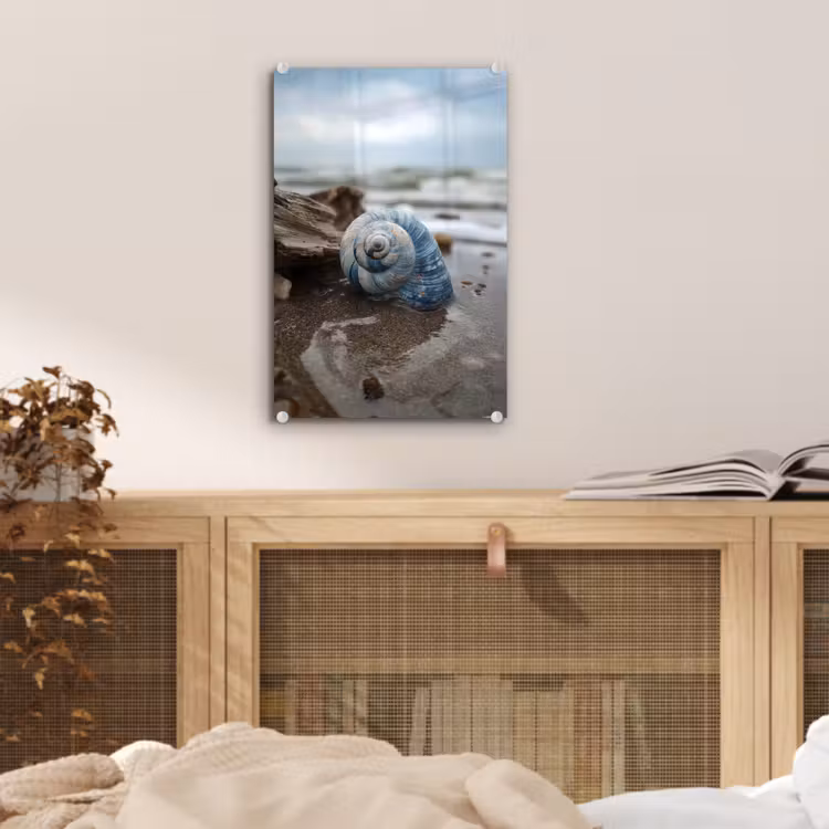 Glas schilderij - Schelp - Strand - Blauw - Zee — 5