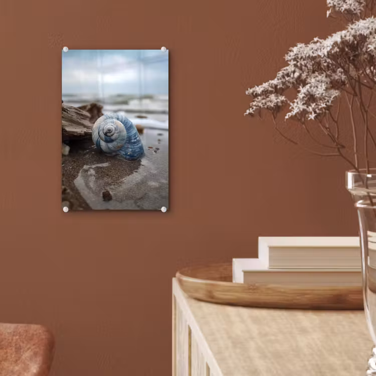 Glas schilderij - Schelp - Strand - Blauw - Zee — 6