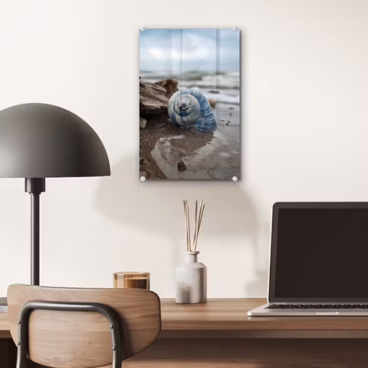 Glas schilderij - Schelp - Strand - Blauw - Zee — 7