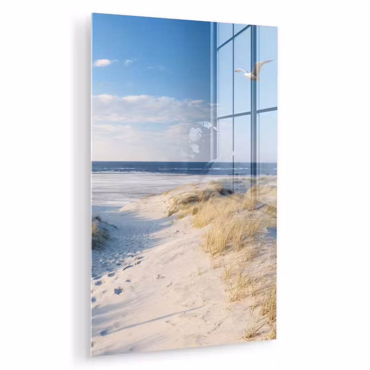 Glas schilderij - Duin - Meeuw - Strand - Zee - Zon — 1