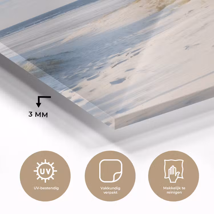 Glas schilderij - Duin - Meeuw - Strand - Zee - Zon — 3