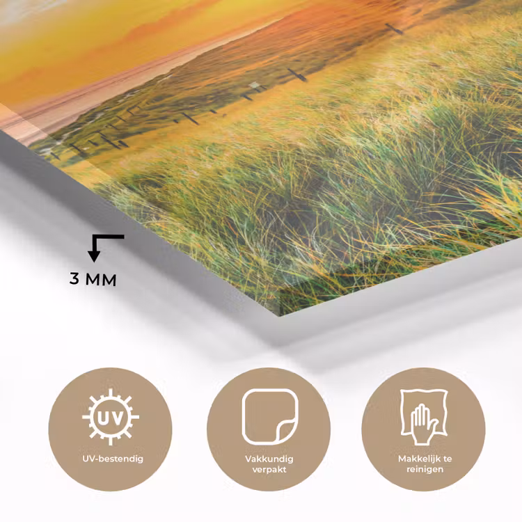 Glas schilderij - Vuurtoren - Natuur - Zon - Landschap - Gras - Strand - Zee — 3
