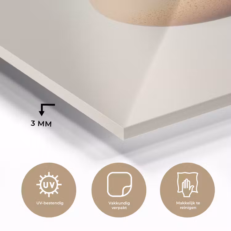 Glas schilderij - Ei - Beige - Ovaal - Egaal — 3
