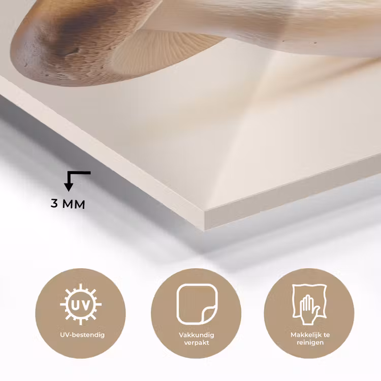 Glas schilderij - Champignons - Zacht - Beige — 3