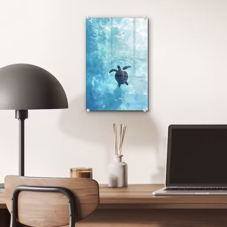 Glas schilderij - Schildpad - Zee - Blauw - Schittering — 7