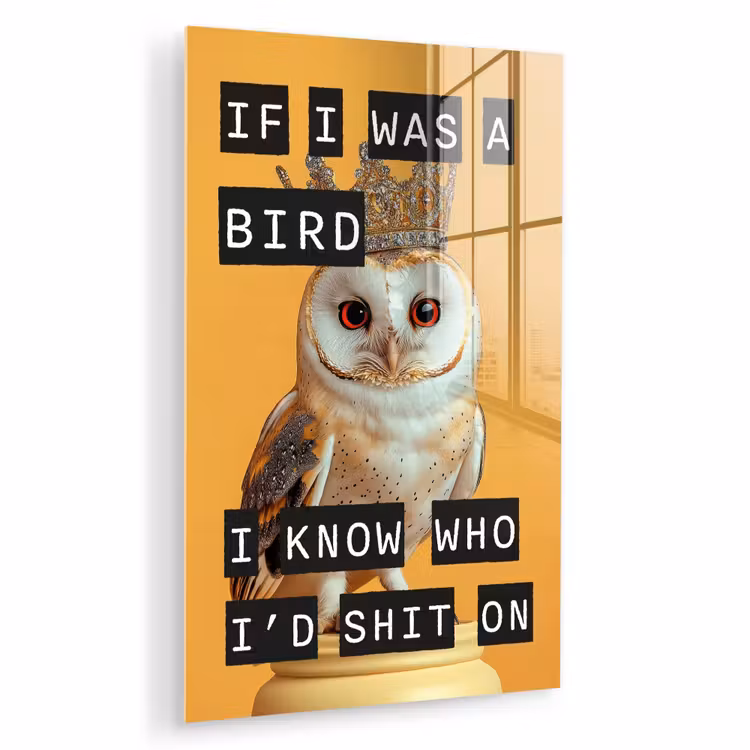 Glas schilderij - Geel - Uil - Vogel - Decoratie — 1