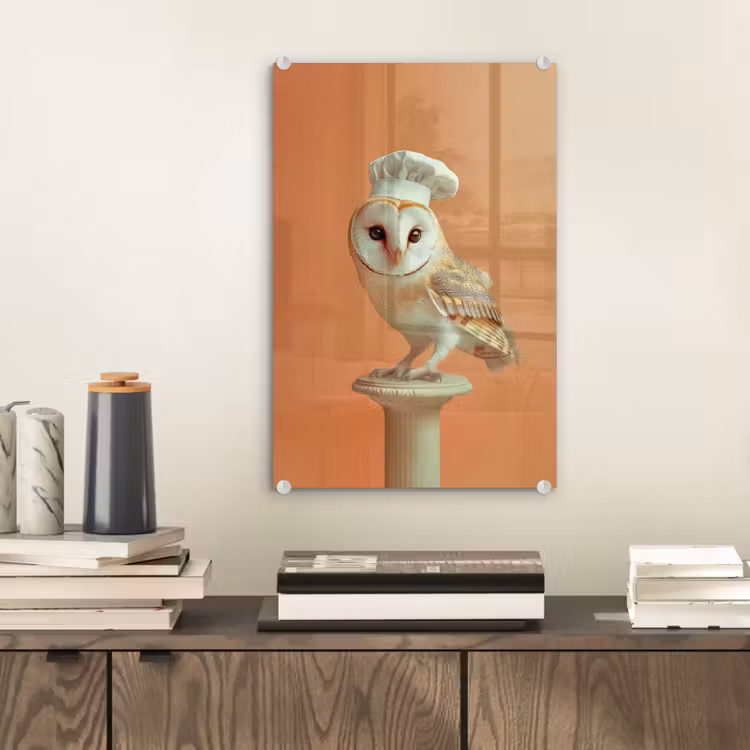 Glas schilderij - Kerkuil - Koksmuts - Oranje - Vogel — 2