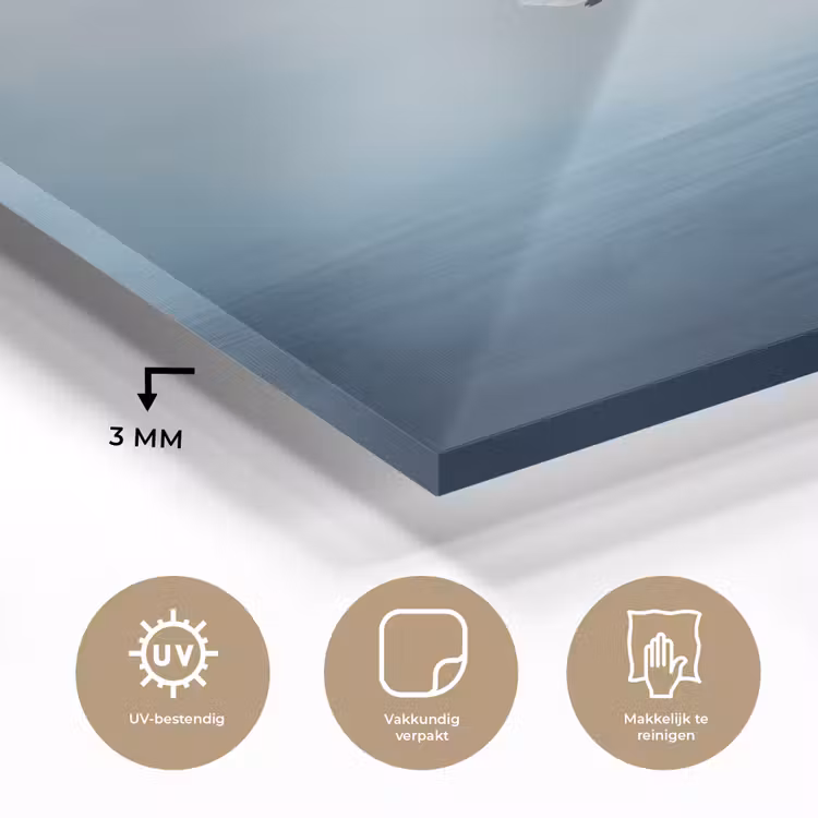 Glas schilderij - Meeuw - Wit - Zee - Mistig — 3