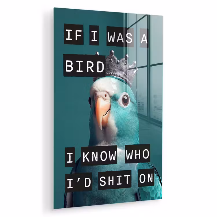 Glas schilderij - Parkiet - Turquoise - Quotes - Decoratie — 1