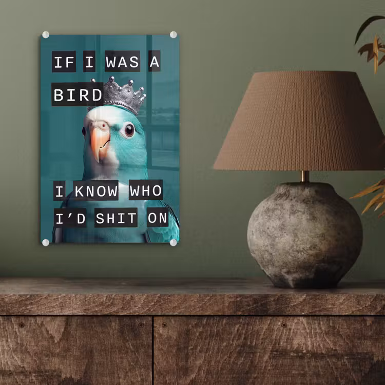 Glas schilderij - Parkiet - Turquoise - Quotes - Decoratie — 4