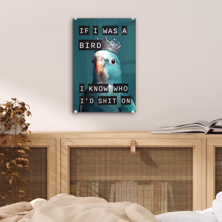 Glas schilderij - Parkiet - Turquoise - Quotes - Decoratie — 5