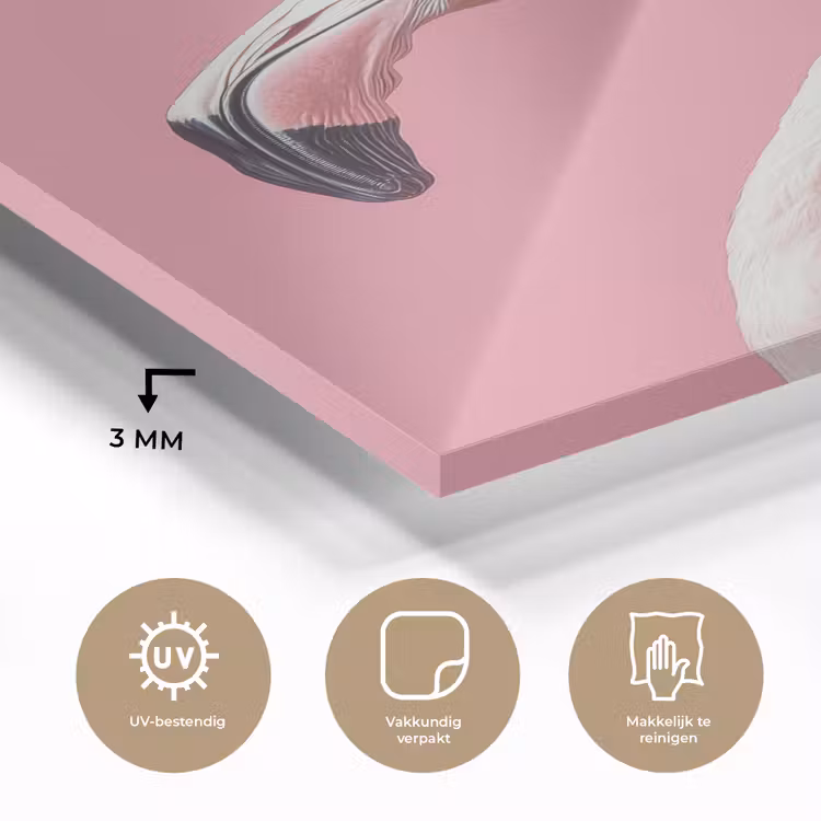 Glas schilderij - Flamingo - Roze - Koksmuts - Vogel — 3