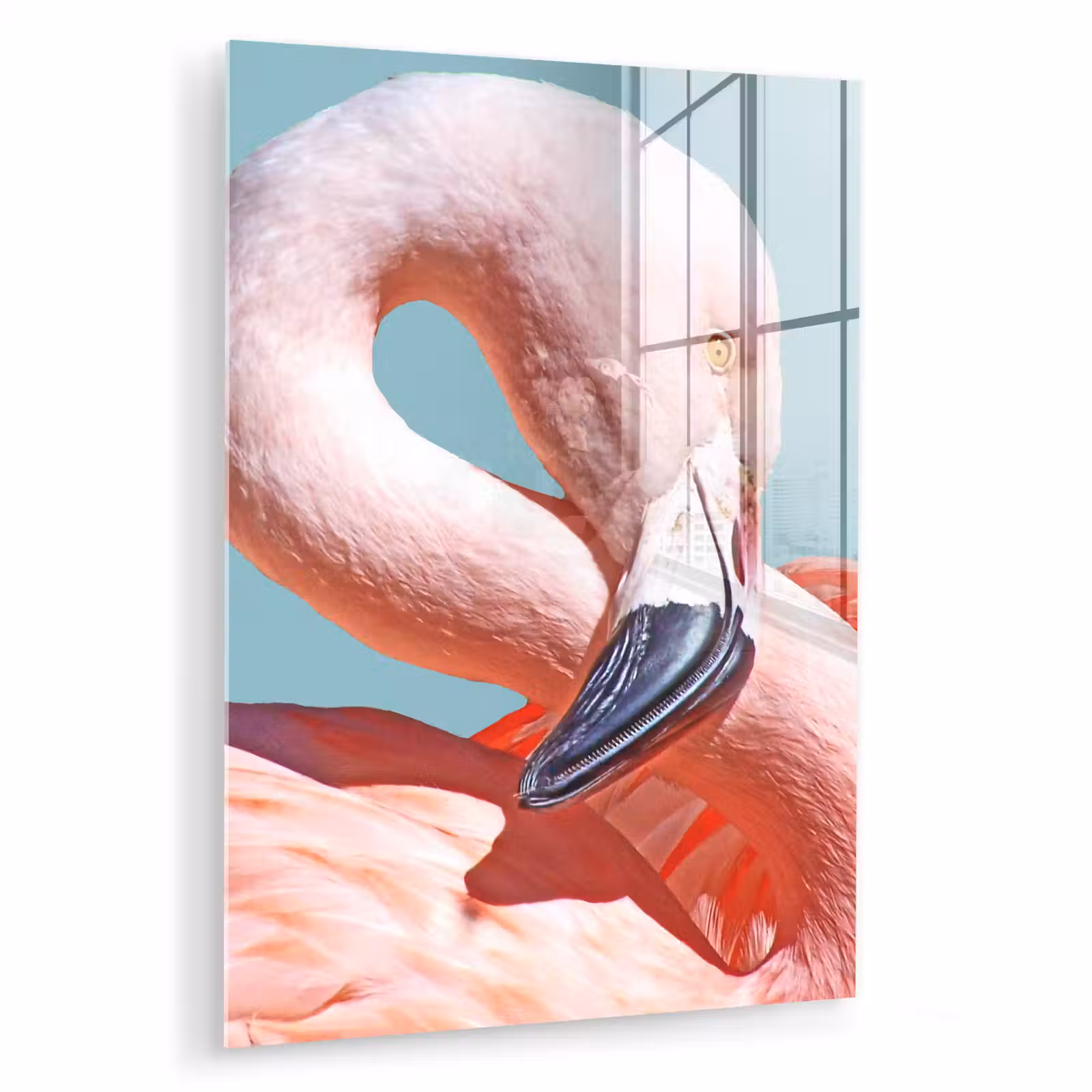 Glas schilderij - Close-up flamingo — 1