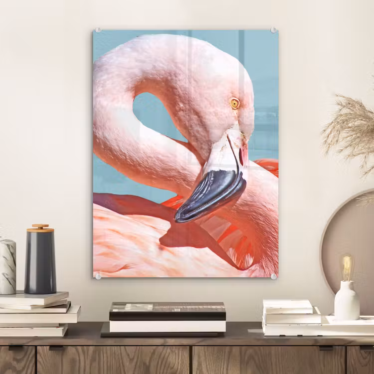 Glas schilderij - Close-up flamingo — 2