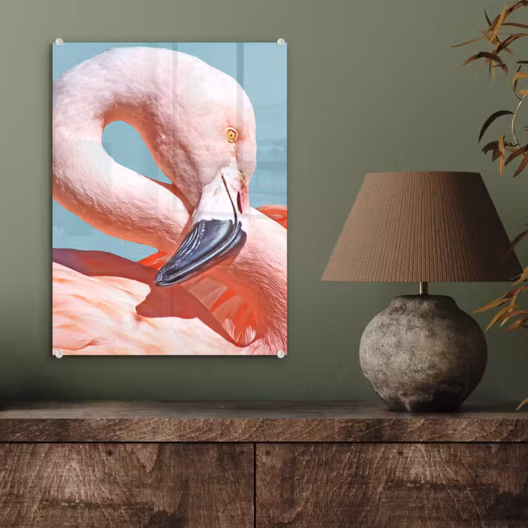 Glas schilderij - Close-up flamingo — 4