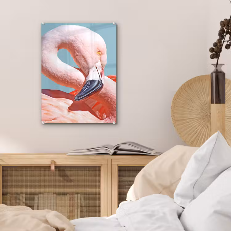 Glas schilderij - Close-up flamingo — 5