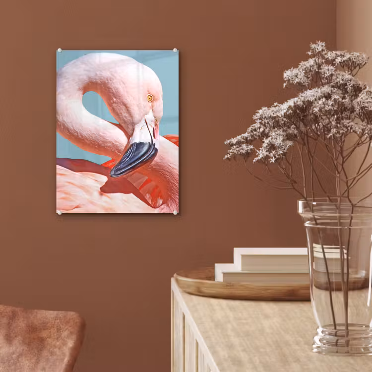 Glas schilderij - Close-up flamingo — 6