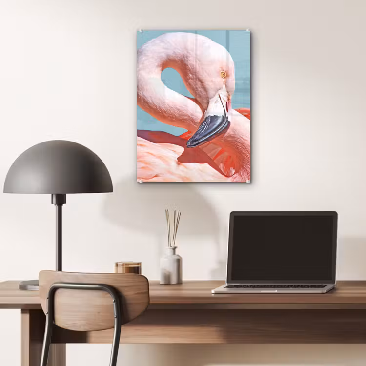Glas schilderij - Close-up flamingo — 7