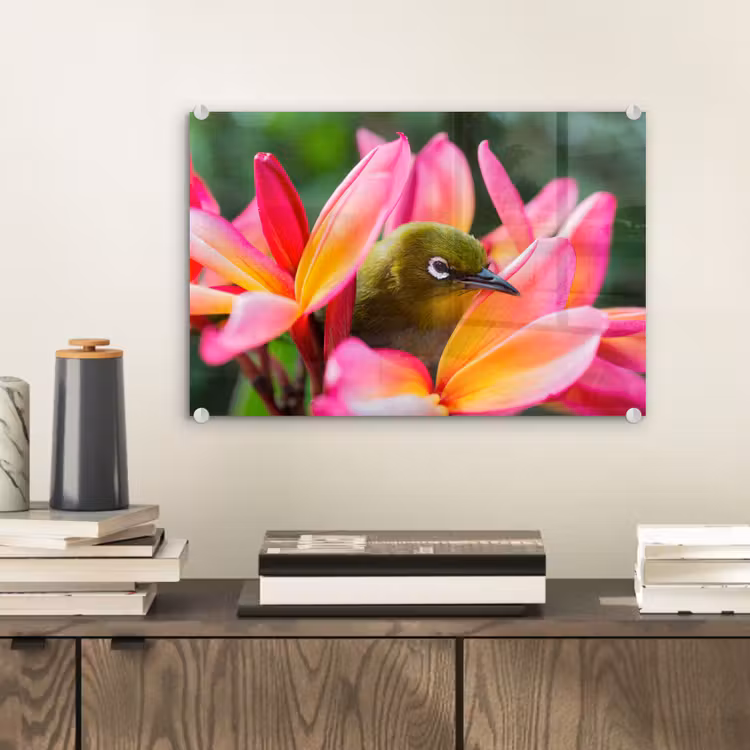 Glas schilderij - Tropische vogel tussen roze bloem — 1