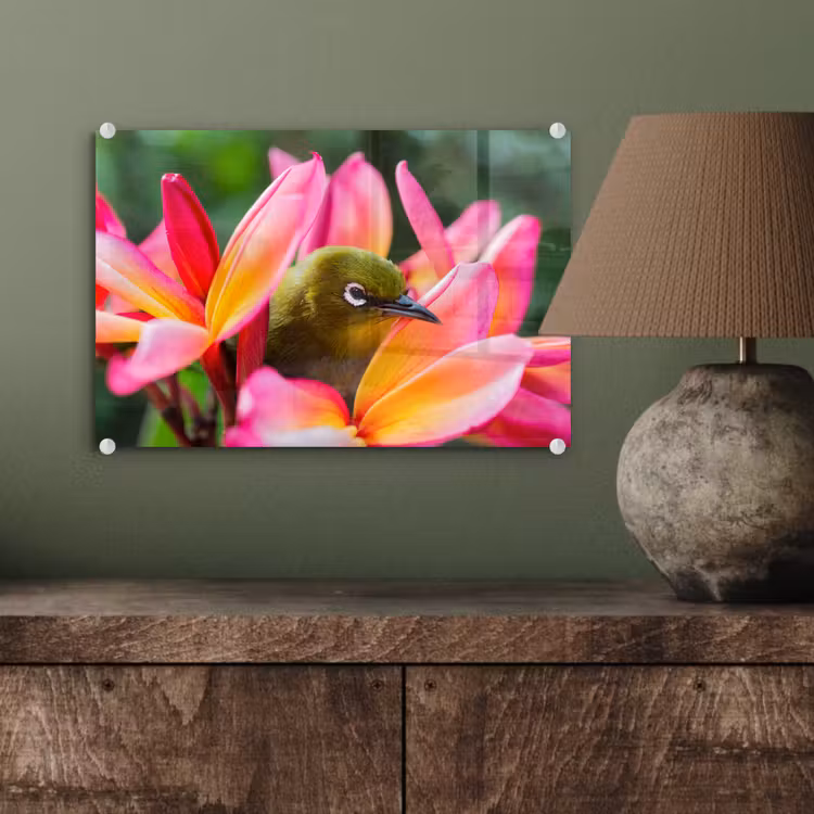 Glas schilderij - Tropische vogel tussen roze bloem — 3