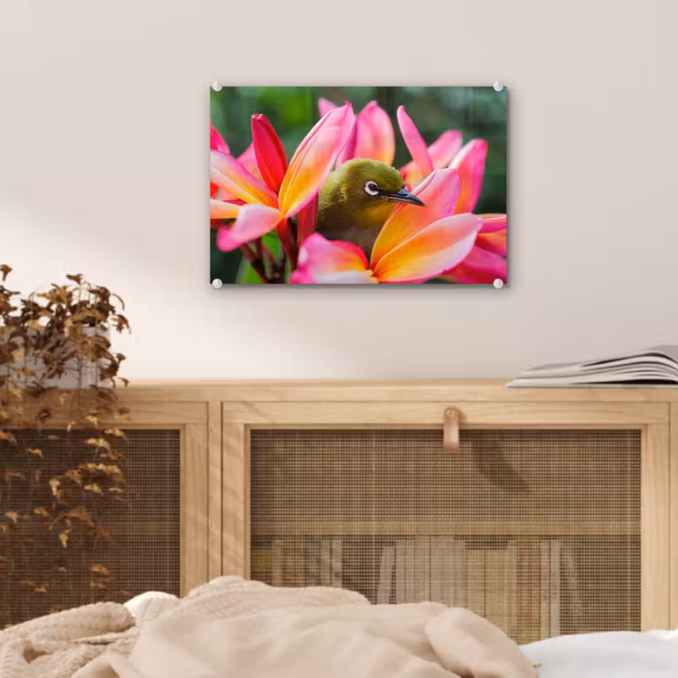 Glas schilderij - Tropische vogel tussen roze bloem — 4