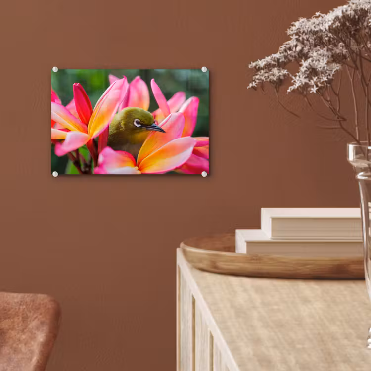 Glas schilderij - Tropische vogel tussen roze bloem — 5