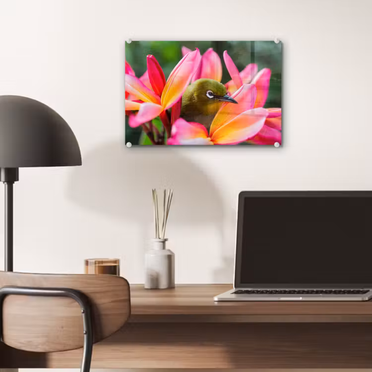 Glas schilderij - Tropische vogel tussen roze bloem — 6