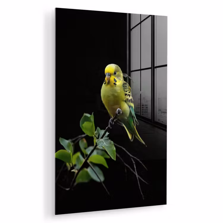 Glas schilderij - Parkiet - Tak - Bladeren - Geel — 1
